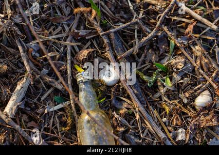 Selective focus shot of a bottle, snail shells, worms, and junk in a field Stock Photo