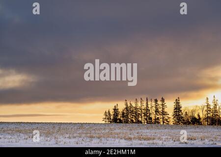 Daybreak over farmland in rural Prince Edward Island, Canada. Stock Photo