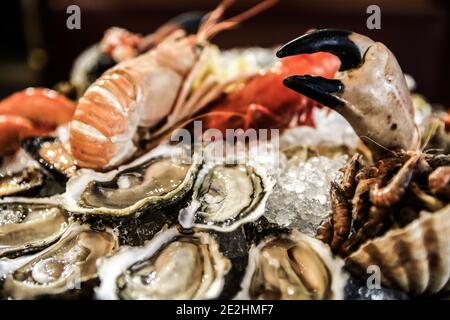 Seafood platter: lobster, crab, oysters Stock Photo