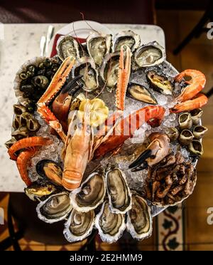 Seafood platter: lobster, crab, oysters Stock Photo