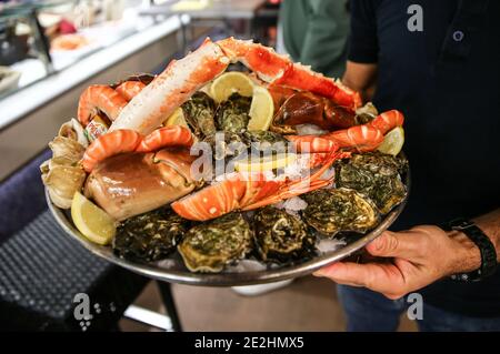 Seafood platter: lobster, crab, oysters Stock Photo