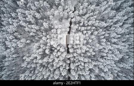 Frozen road in white winter forest background above top drone view Stock Photo
