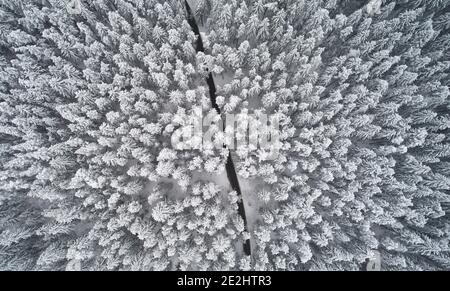 Road among winter forest above top drone view. Snowy landscape Stock Photo