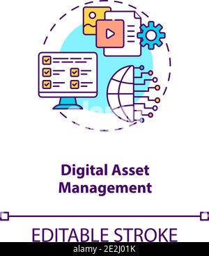 Digital asset management concept icon Stock Vector