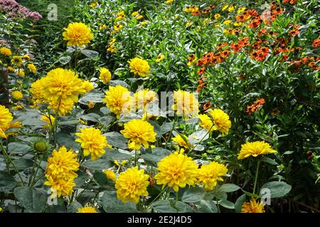 Late summer garden August stunning garden Stock Photo