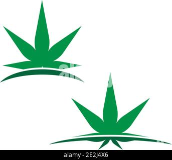 Cannabis leaf logo design vector template illustration Stock Vector