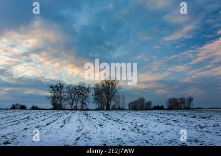 Snow on the field, trees and the evening sky, winter rural view Stock Photo