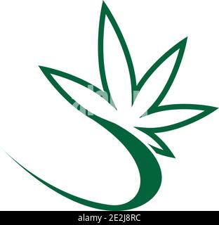 Cannabis leaf logo design vector template illustration Stock Vector