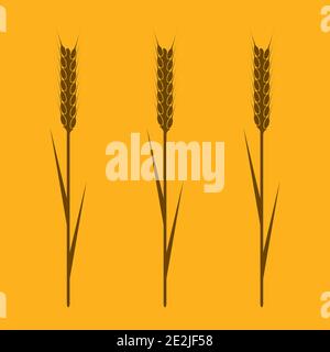 The Wheaten Ears Stock Vector