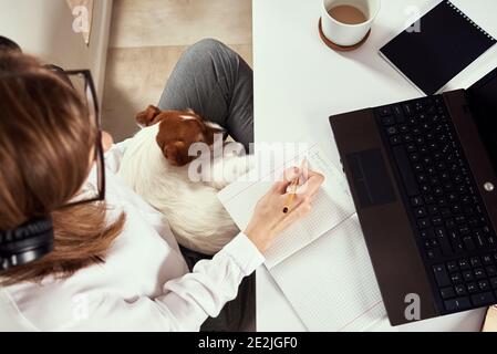 Remote work. Online cources, distance education and e-learning concept. Woman in headphones listen audio course at laptop Stock Photo