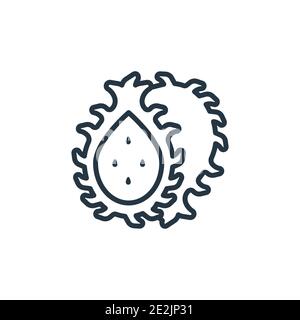 Pitaya outline vector icon. Thin line black pitaya icon, flat vector simple element illustration from editable fruits concept isolated stroke on white Stock Vector