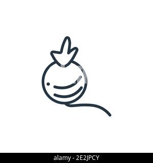 Turnip outline vector icon. Thin line black turnip icon, flat vector simple element illustration from editable gastronomy concept isolated stroke on w Stock Vector
