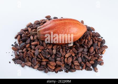 Cocoa fruit over raw cocoa beans on white background Stock Photo