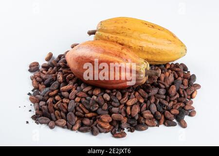 Cocoa fruit over raw cocoa beans on white background Stock Photo