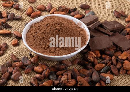 Powdered cocoa with pieces of chocolate on raw cocoa beans. Stock Photo