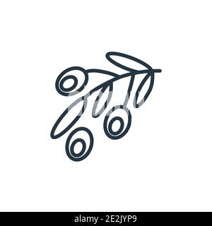 Olives outline vector icon. Thin line black olives icon, flat vector simple element illustration from editable fruits concept isolated stroke on white Stock Vector