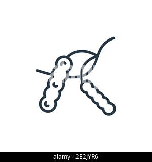 Tamarind outline vector icon. Thin line black tamarind icon, flat vector simple element illustration from editable fruits concept isolated stroke on w Stock Vector