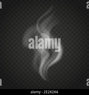 Transparent smoke or steam waves isolated on dark background. Trickles of smoke vector. Stock Vector