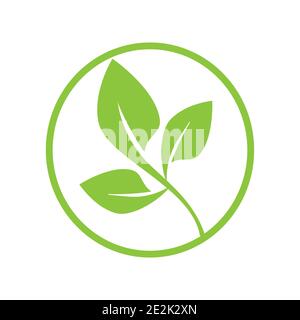 Eco organic icon. Elements of green leaves. Nature ecology logo Stock Vector