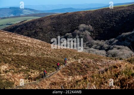 A group of mountain bikers ride a trail in Exmoor National Park. Stock Photo