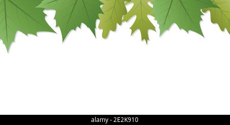green summer leaves white background banner with copy space vector illustration EPS10 Stock Vector