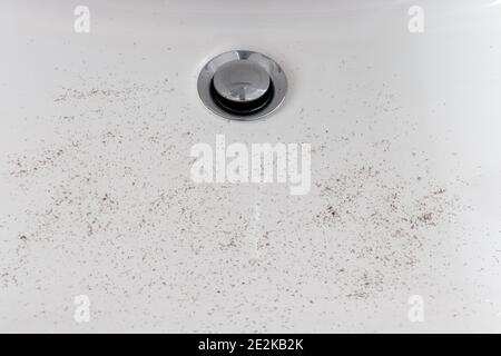 Hair stubbles in sink after shaving close up. Stock Photo
