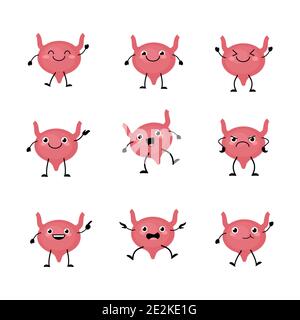 Cute bladder organs character set in a flat cartoon style. Human organs person with the different emotions. Stock Vector