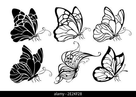 Set artistically drawn, contoured, sitting, black butterflies on white background. Butterflies. Design element. Stock Vector