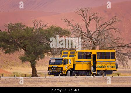 Duna 45, Sossus Vlei, Sesriem, Parque Nacional Namib Naukluft, Desierto del Namib, Namibia, Afirca Stock Photo