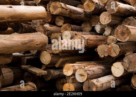 Pile of wood stacked together after the cut of trees Stock Photo