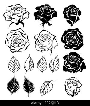 Set of contour, black, silhouette, artistically drawn flowers, buds and leaves of roses, on white background. Stock Vector