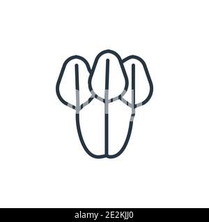 Spinach outline vector icon. Thin line black spinach icon, flat vector simple element illustration from editable fruits and vegetables concept isolate Stock Vector