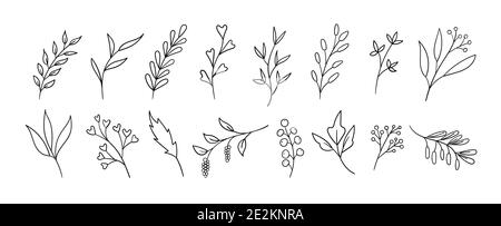 Hand drawn floral elements. Vector ink doodle leaves, branches, plants. Line art Stock Vector