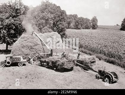 1920s 1930s THREE ANONYMOUS FARM WORKERS WITH TRUCK TRACTOR AND HORSE DRAWN WAGONS THRESHING WHEAT SPRINGFIELD ILLINOIS USA - f1833 HAR001 HARS FARMERS LABOR DRAWN EMPLOYMENT OCCUPATIONS SPRINGFIELD WAGONS EMPLOYEE THRESHING COOPERATION GROWTH ILLINOIS TOGETHERNESS BLACK AND WHITE HAR001 LABORING MIDWEST OLD FASHIONED Stock Photo