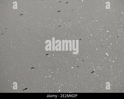 Gray wall in black and white speck, close-up with place for text Stock Photo