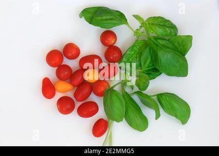 Fresh grape tomatoes and Italian Basil on White Background Stock Photo