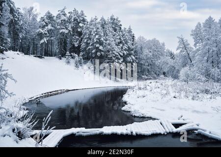 Beautiful snowy winter landscape of forest river with bridge, Belarus. Stock Photo