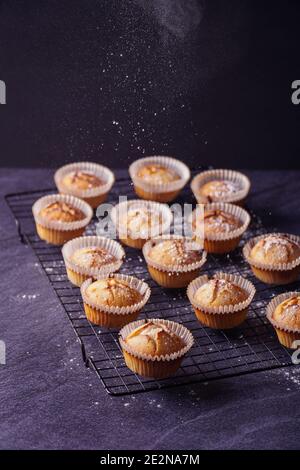 Vertical shot of baked lemon muffins with powder put on a metallic tray isolated on dark background Stock Photo