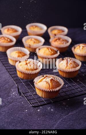 Vertical shot of baked lemon muffins with powder put on a metallic tray isolated on dark background Stock Photo