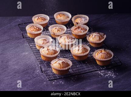 Closeup shot of baked lemon muffins put on a metallic tray isolated on dark background Stock Photo