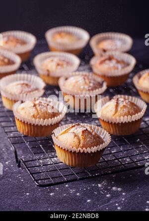 Vertical shot of baked lemon muffins with powder put on a metallic tray isolated on dark background Stock Photo