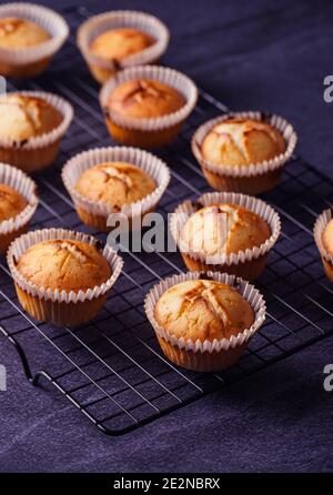 Vertical shot of baked lemon muffins put on a metallic tray isolated on dark background Stock Photo