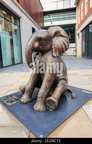 Elephant sculptures at Spitalfields London UK. The Orphans is a ...