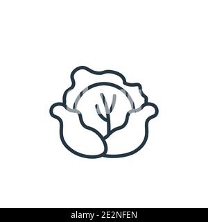 Cabbage outline vector icon. Thin line black cabbage icon, flat vector simple element illustration from editable fruits concept isolated stroke on whi Stock Vector
