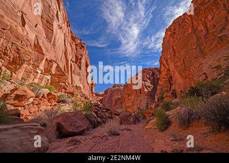 Sun and Shade in a Deep Canyon in Capitol Reef National Park in Utah Stock Photo