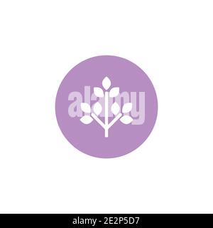 White flat icon of lavender flower in violet circle. Isolated on white. Vector illustration. Eco style. Nature symbol. Stock Vector