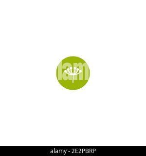 White simple twig with berries in green circle. Flat icon isolated on white. Vector Illustration. Eco, vegan, oil, organic sign Stock Vector