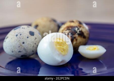 Quail eggs on a plate, with one egg shelled, hard boiled and yolk exposed, and three spotted whole eggs Stock Photo