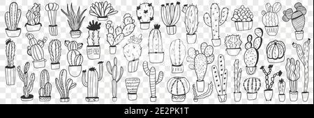 Cactus in pots doodle set. Collection of hand drawn various cactus plants in pots for home growing isolated on transparent background. Illustration of exotic mexican plants for care at home  Stock Vector
