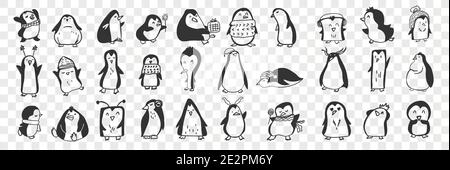 Penguin doodle set. Collection of funny hand drawn cute penguins animals in accessories doing everyday things enjoying life isolated on transparent background. Illustration for kids Stock Vector